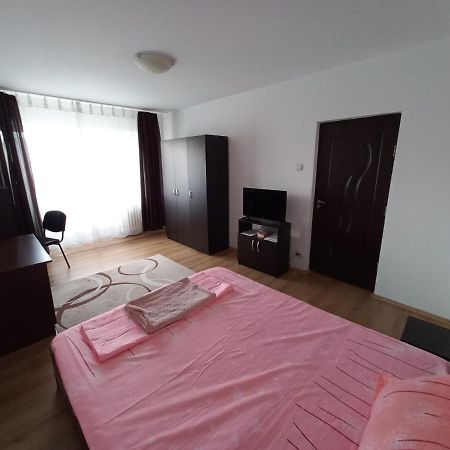 Studio Gorjului Bukurešť Exteriér fotografie